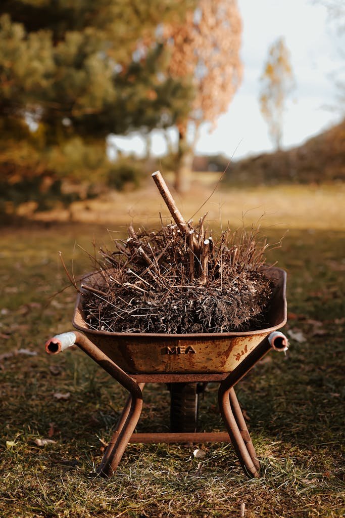 Old rusty wheelbarrow filled with sticks in a scenic autumn field.